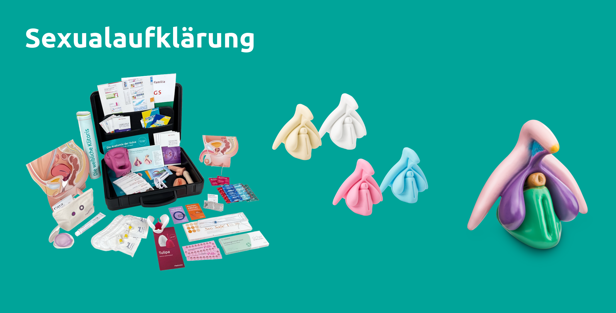 diverse Sexualaufklärungsprodukte
