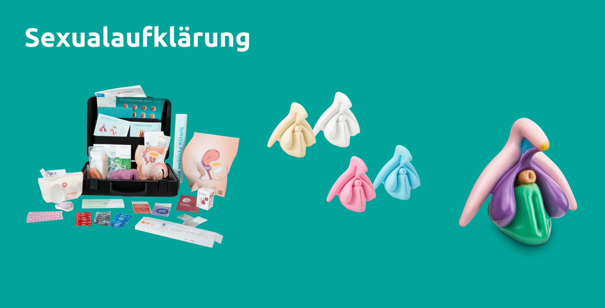diverse Sexualaufklärungsprodukte