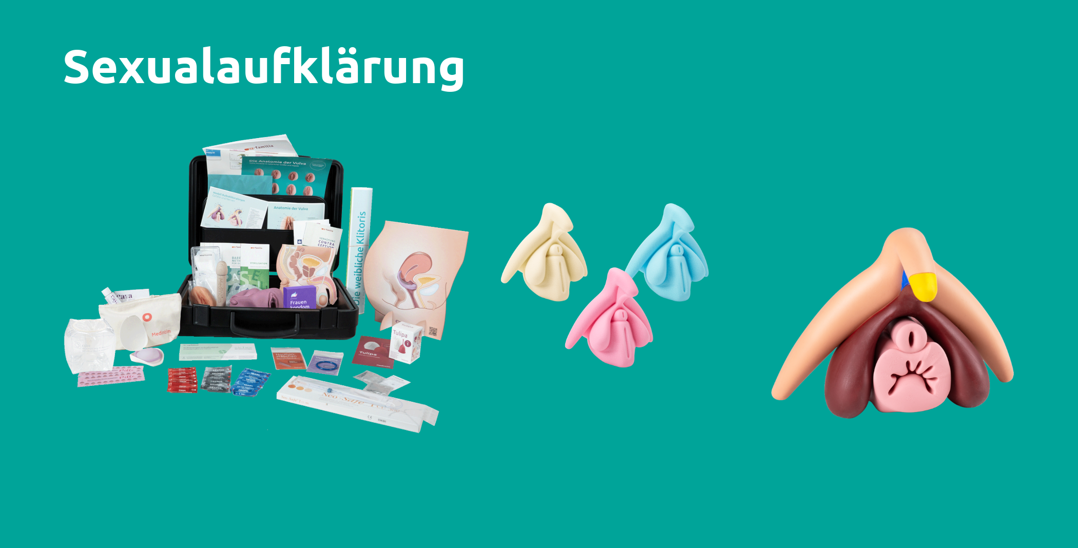 diverse Sexualaufklärungsprodukte
