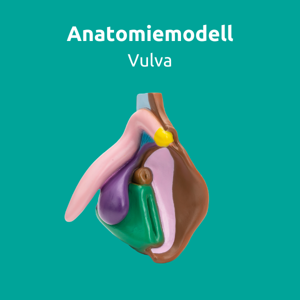 Richtig-aufgeklärt-Paket S