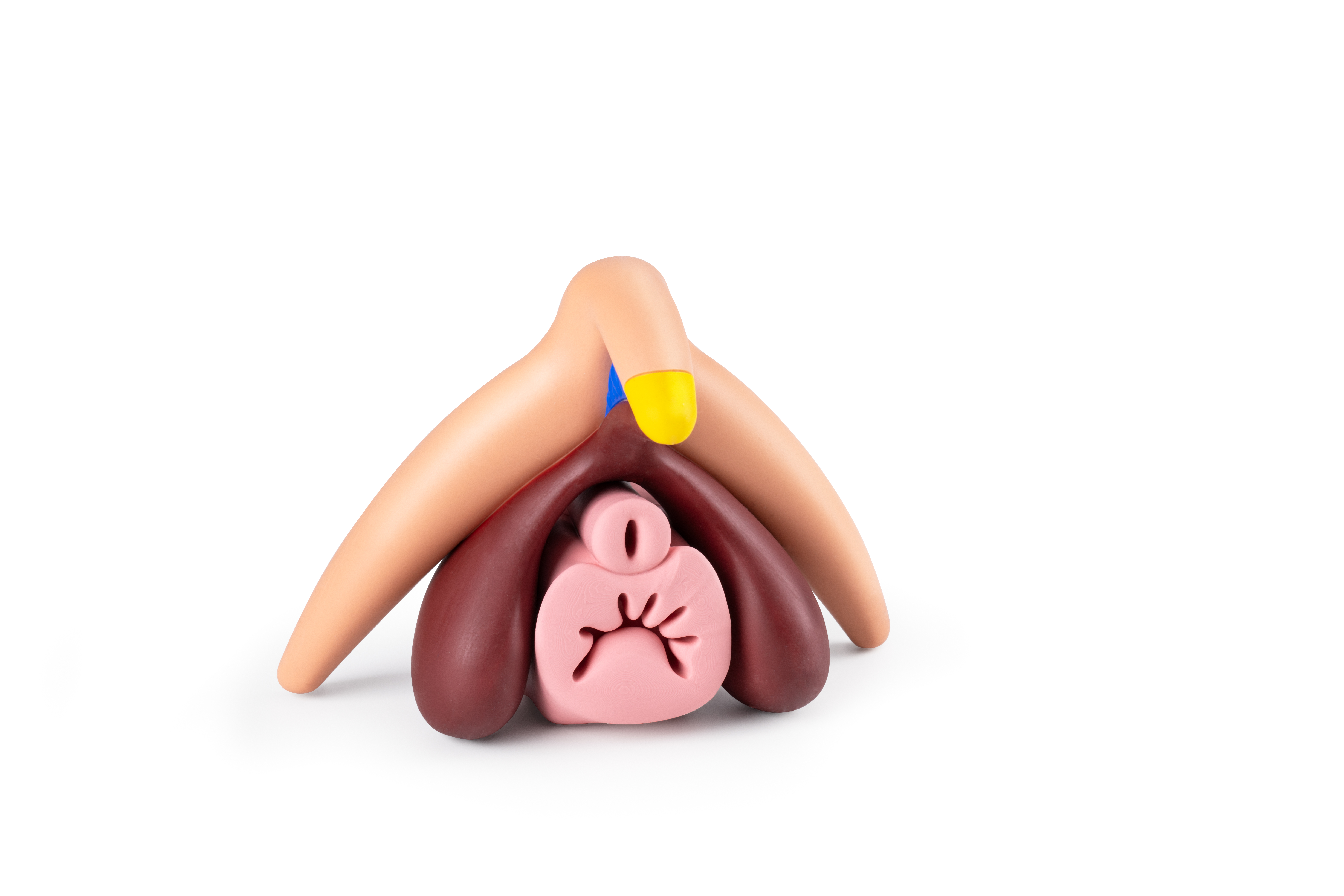Clitoris Plus 2:1 Modell