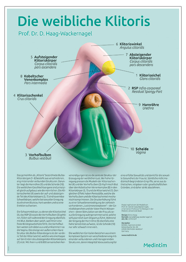 Poster Clitoris Plus