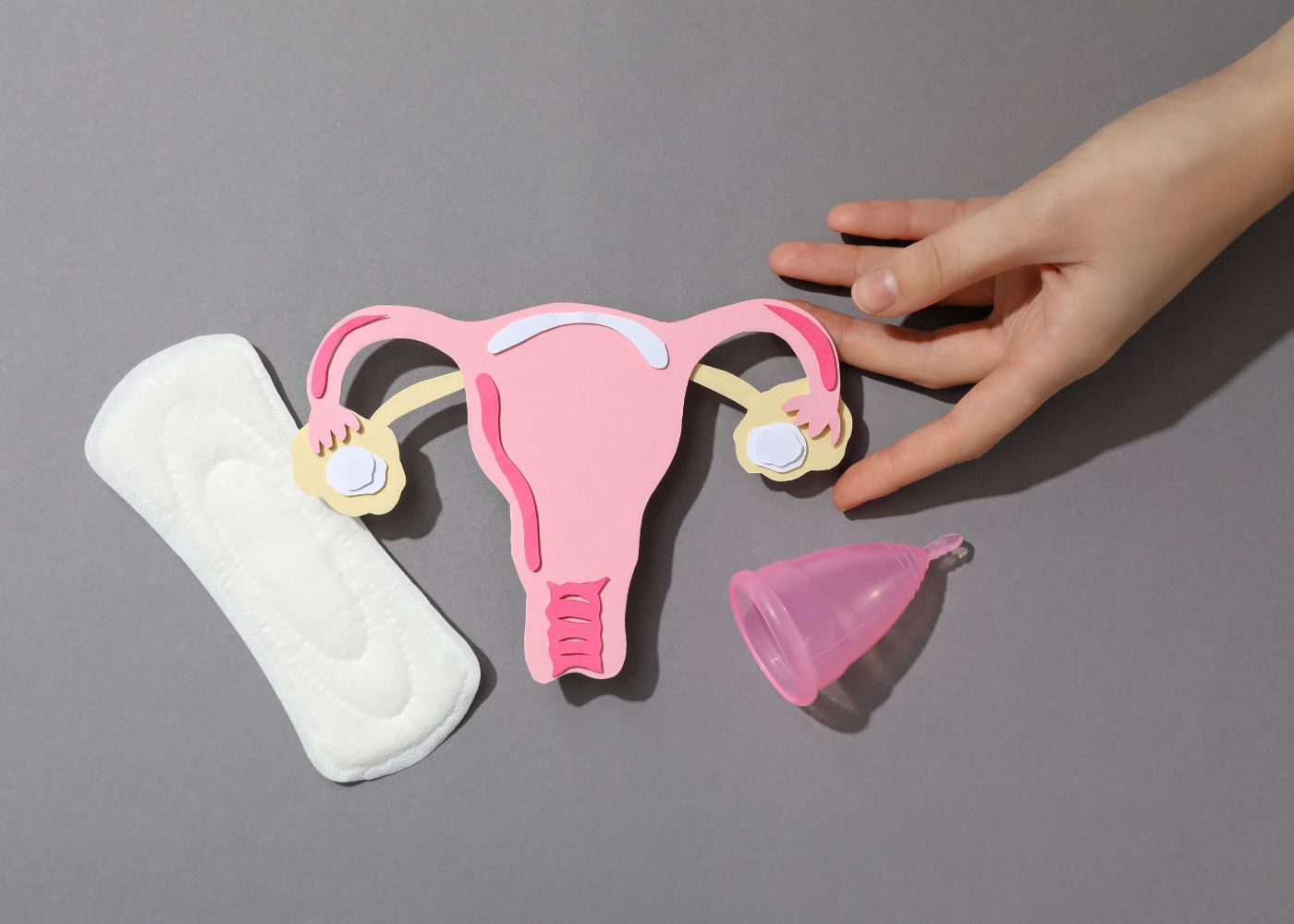 Tampon, Menstruationstasse und Bild von weiblicher Anatomie